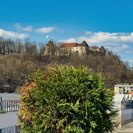 Penthouse - Garden *