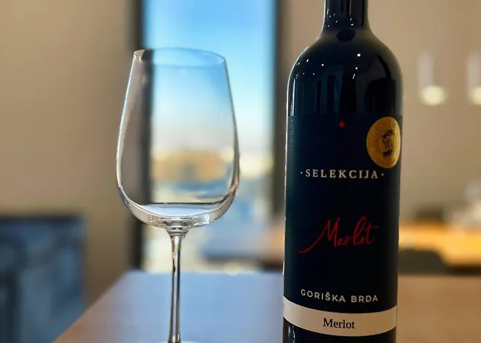 Penthouse - Garden 公寓 *