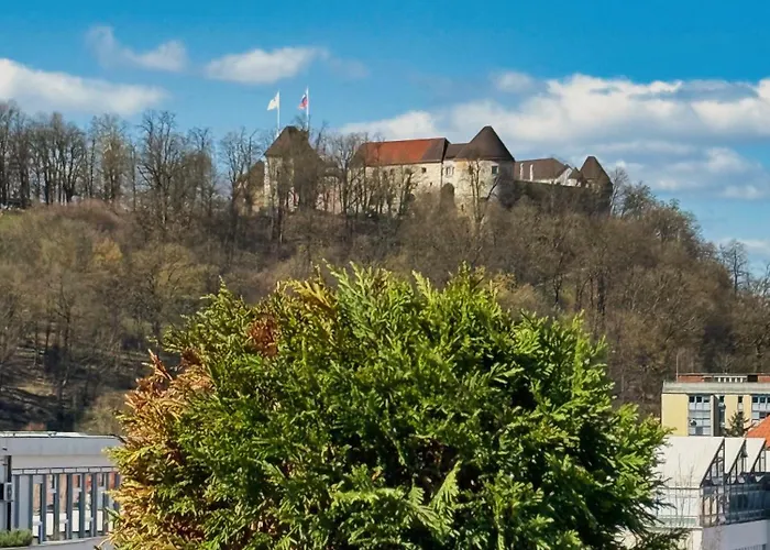 Penthouse - Garden *